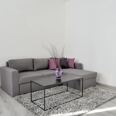 בית הארחה Palace