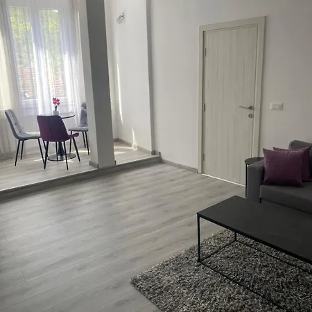 בית הארחה Palace מוסטר