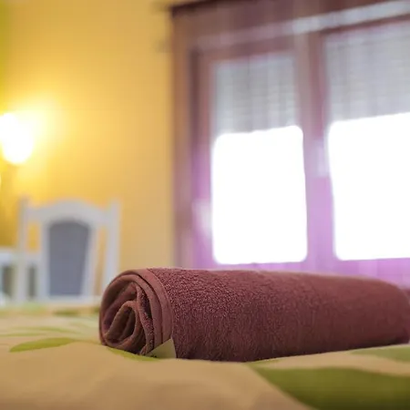 Pansion Palace Guest house 3*