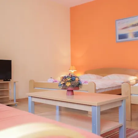 Pansion Palace Guest house 3*